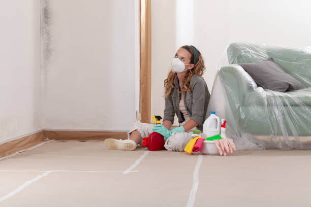 Reliable Mold Removal contractor in Stone Mountain, GA by WQB Mold Removal